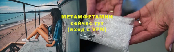 PSILOCYBIN Аркадак