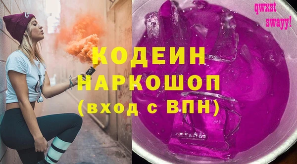молекула духа Арсеньев