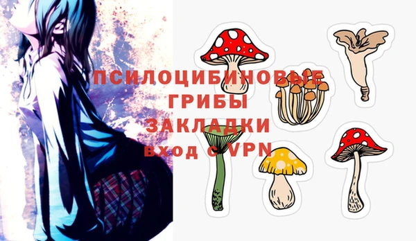 гашик Армянск