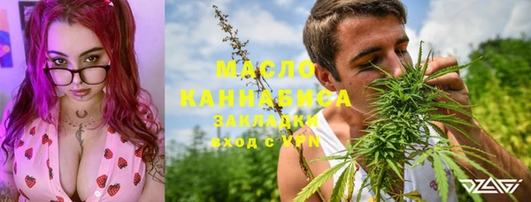 молекула духа Арсеньев