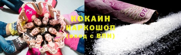 молекула духа Арсеньев