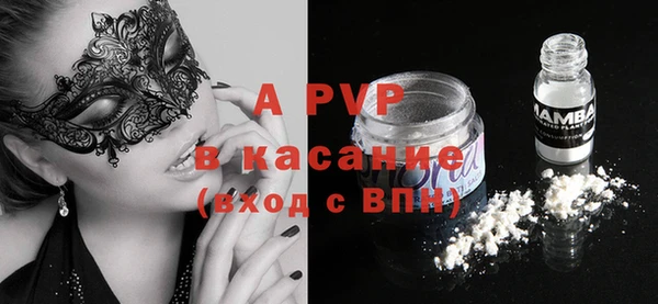PSILOCYBIN Аркадак