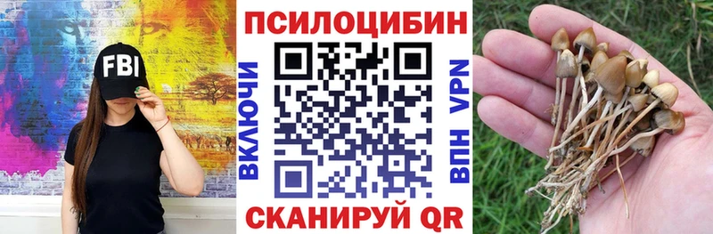 Галлюциногенные грибы мицелий  магазин  наркотиков  Суровикино 